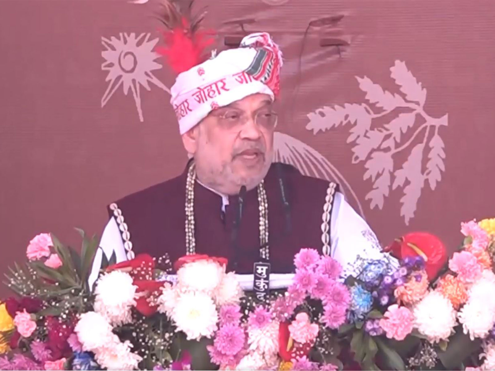 Union Home Minister Amit Shah (Photo/ANI)
