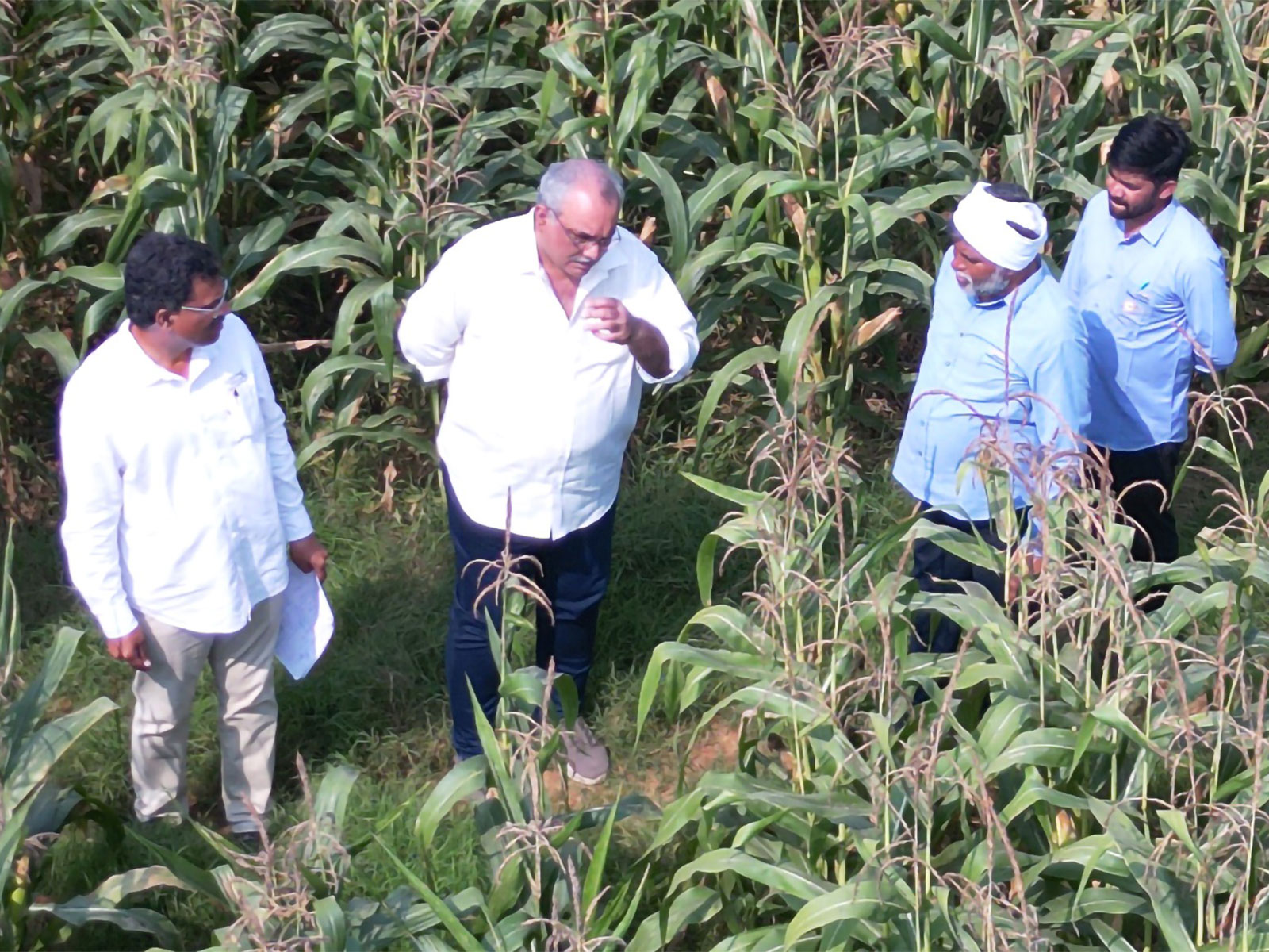 Mr. SBP Pattabhi Rama Rao, Managing Director, Gourmet Popcornica in the corn fields