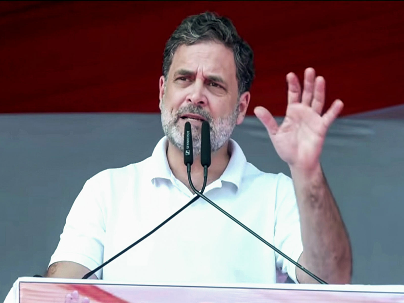 Congress MP Rahul Gandhi (Photo: ANI)