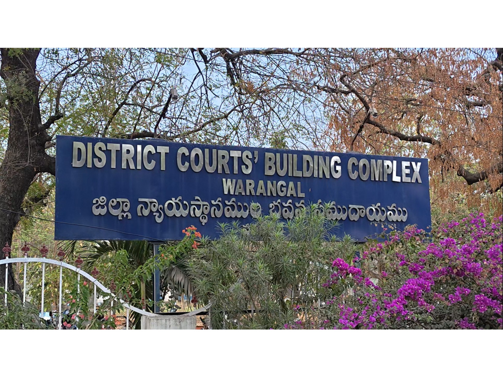 Visual of the court (Photo/ANI)