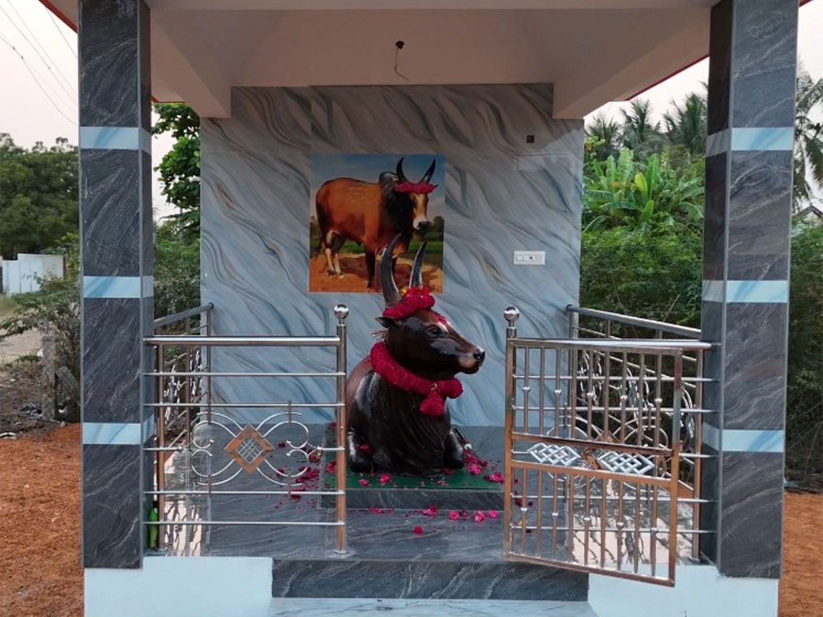 Trichy family builds memorial for prize-winning Jallikattu bull 'Senkuricki Sevalai' (Photo/ANI) Trichy family builds memorial for prize-winning Jallikattu bull 'Senkuricki Sevalai' (Photo/ANI)