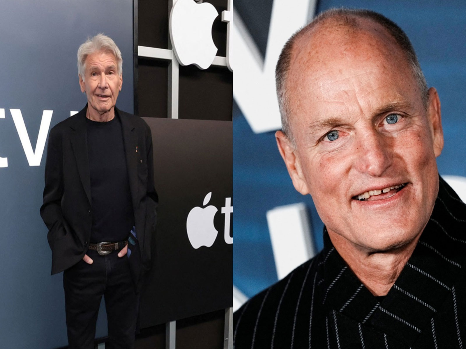 Woody Harrelson to honour Harrison Ford (File photo/Reuters)