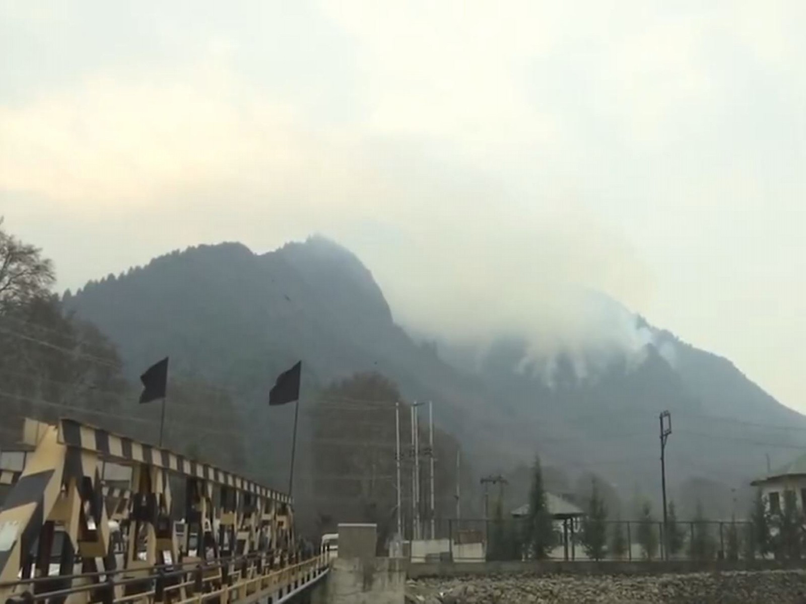 Visuals from the Zarbawan forest in Jammu and Kashmir (Photo/ANI) Visuals from the Zarbawan forest in Jammu and Kashmir (Photo/ANI)