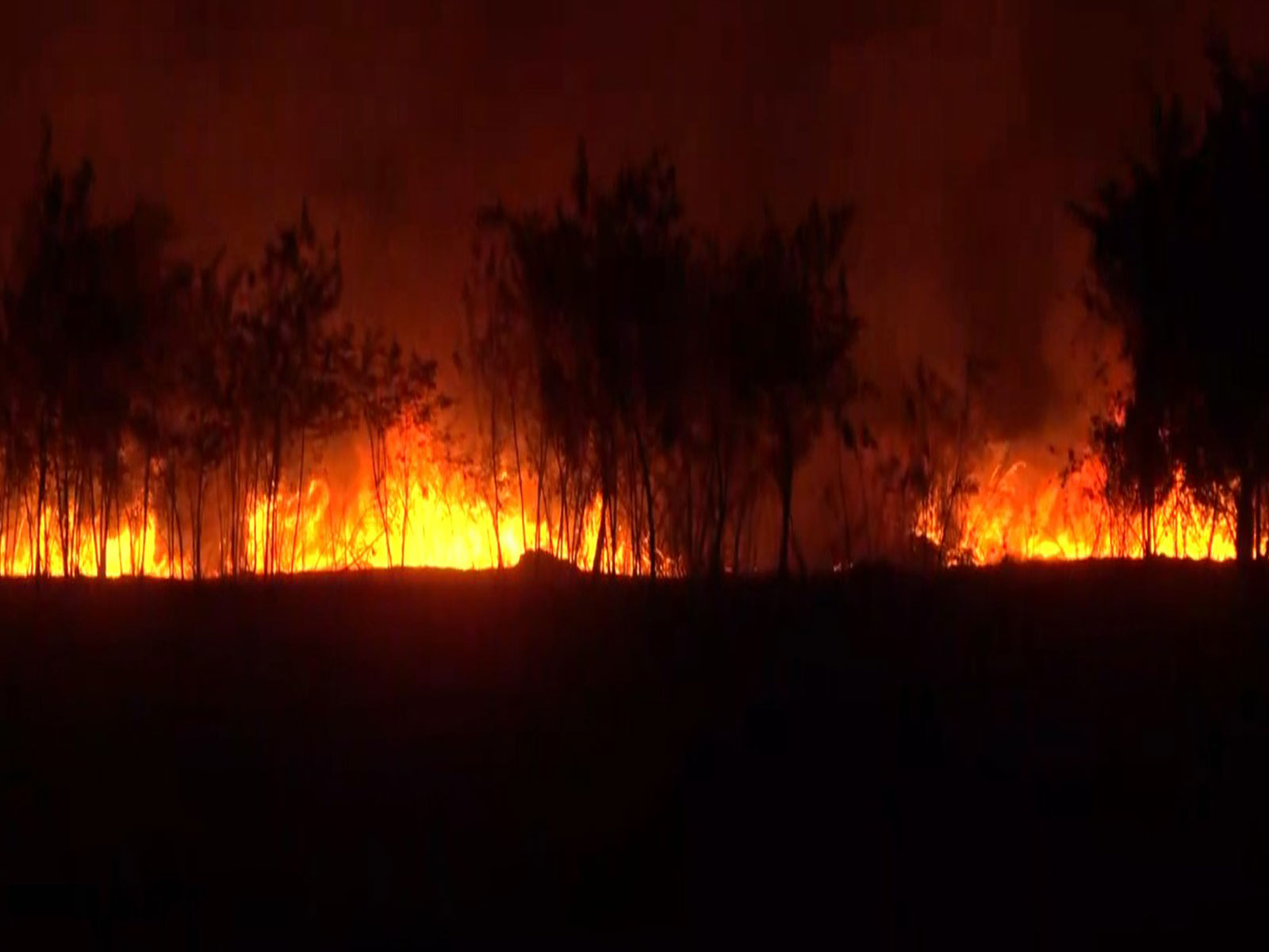 Visuals of the spot (Photo/ANI)
