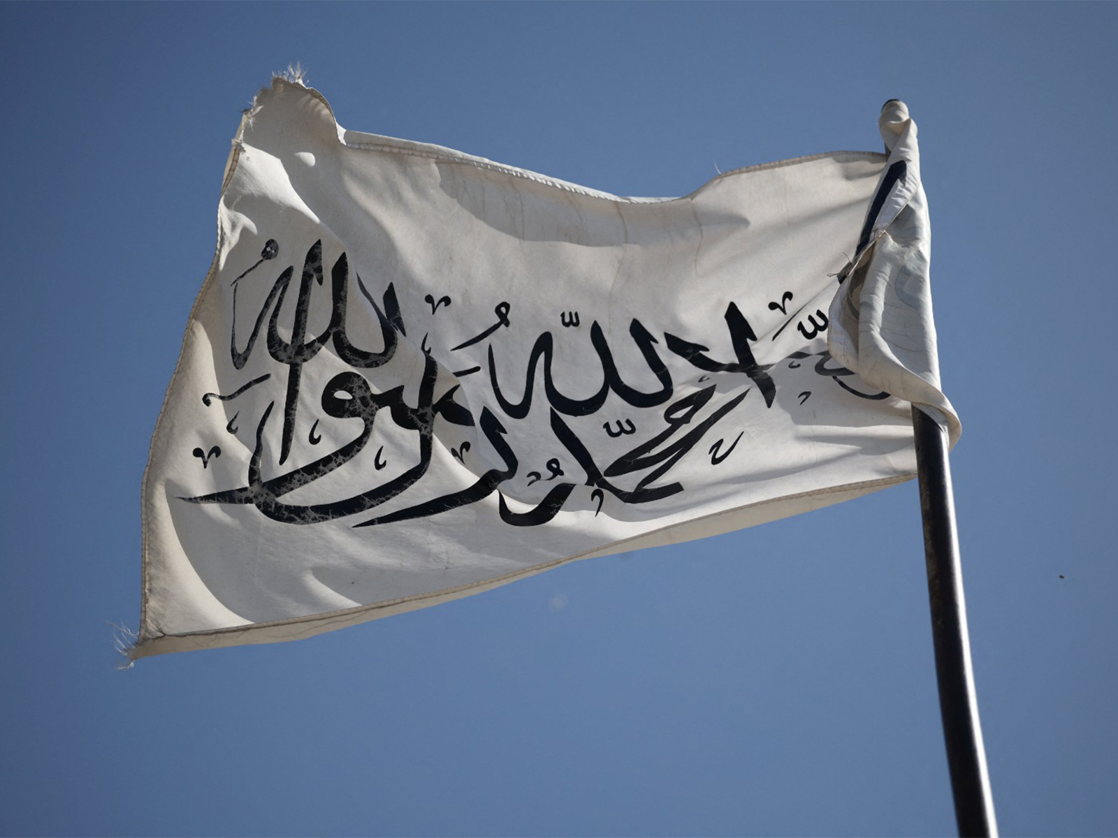 Representative Image (File Photo/Reuters) Representative Image (File Photo/Reuters)