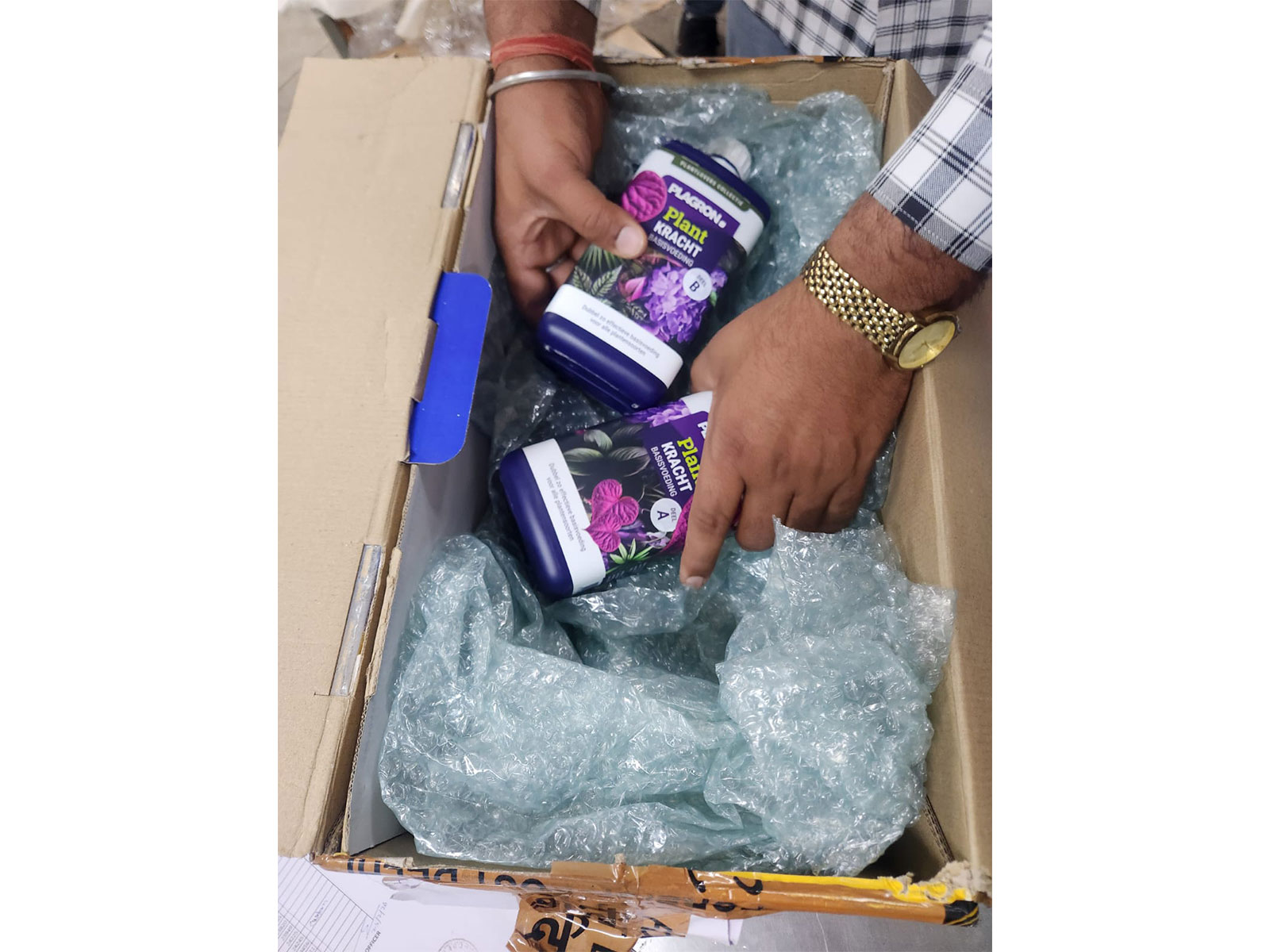 Seized LSD blotters (Photo/ANI)