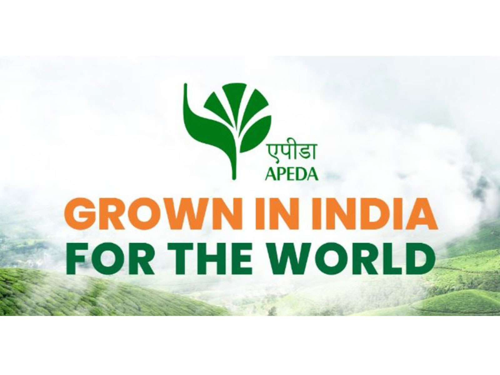 GI-tagged joha rice from Assam exported to UK, Italy (Photo/ X @APEDADOC) GI-tagged joha rice from Assam exported to UK, Italy (Photo/ X @APEDADOC)