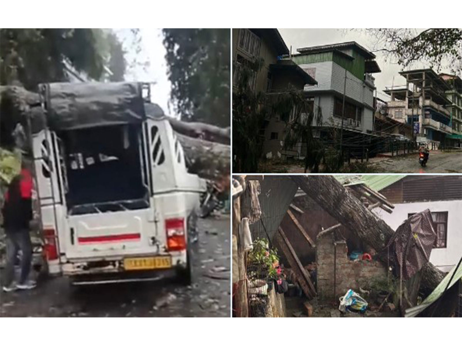 Tree falls on vehicle amid severe weather in Sikkim (Photo/ANI) Tree falls on vehicle amid severe weather in Sikkim (Photo/ANI)