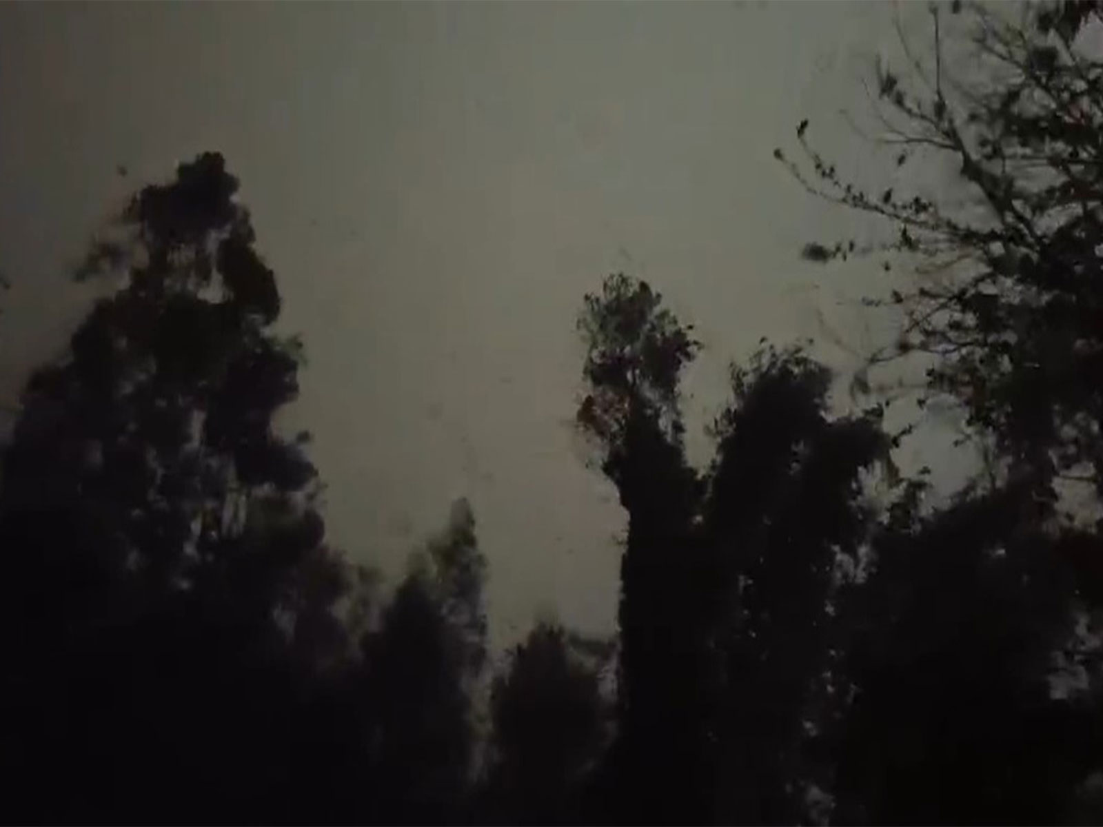 Strong winds and heavy rainfall occures in parts of Sikkim. (Photo/ANI) Strong winds and heavy rainfall occures in parts of Sikkim. (Photo/ANI)