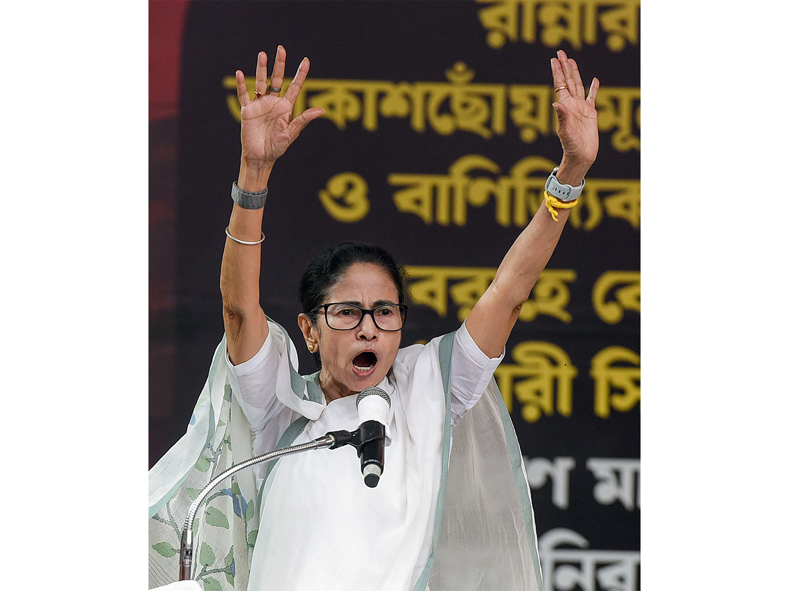 West Bengal Chief Minister Mamata Banerjee (File Photo/ANI)