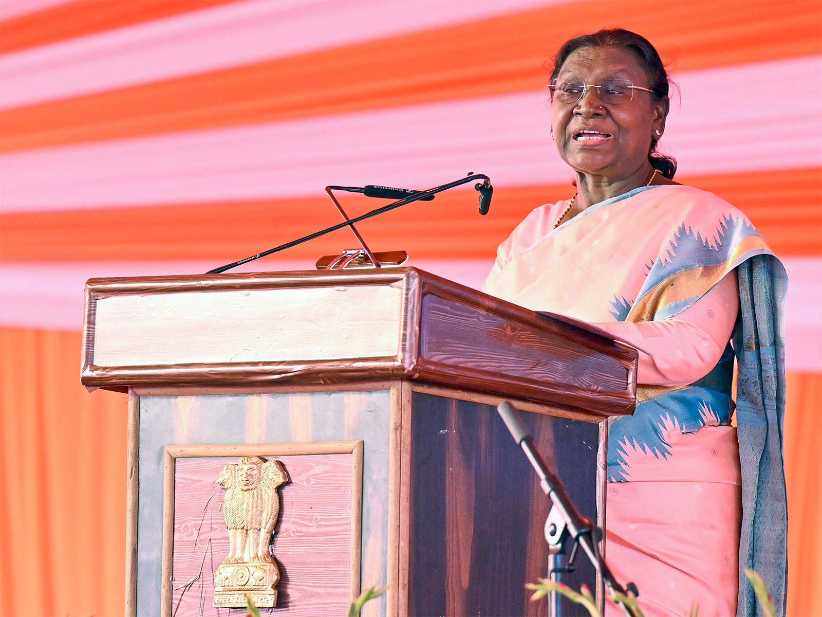 President Droupadi Murmu (FIle Photo/ANI)