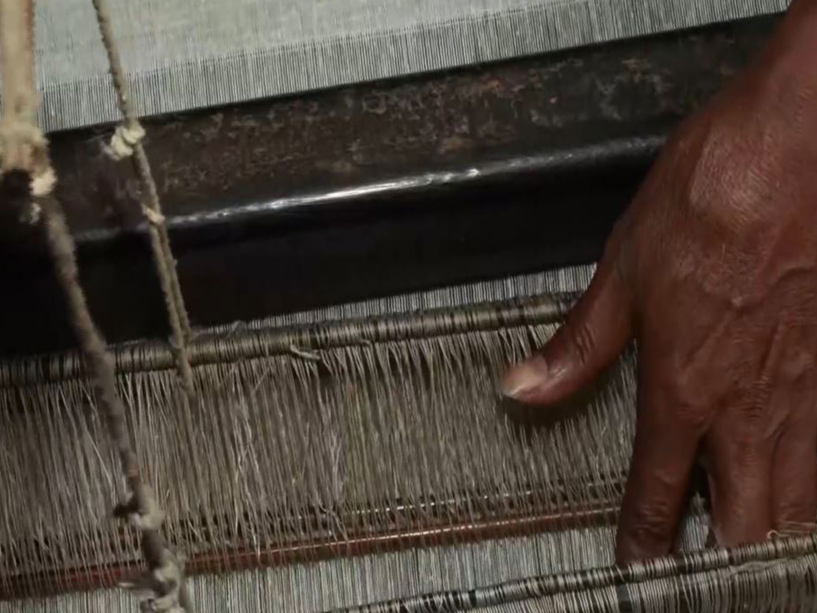 Representative image (Photo/ANI) Representative image (Photo/ANI)