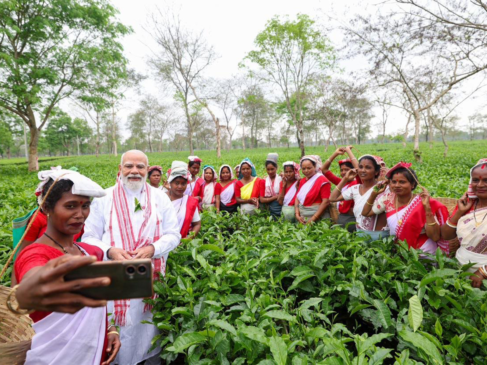 PM Modi visits tea garden in Dibrugarh (Photo/X@narendramodi)