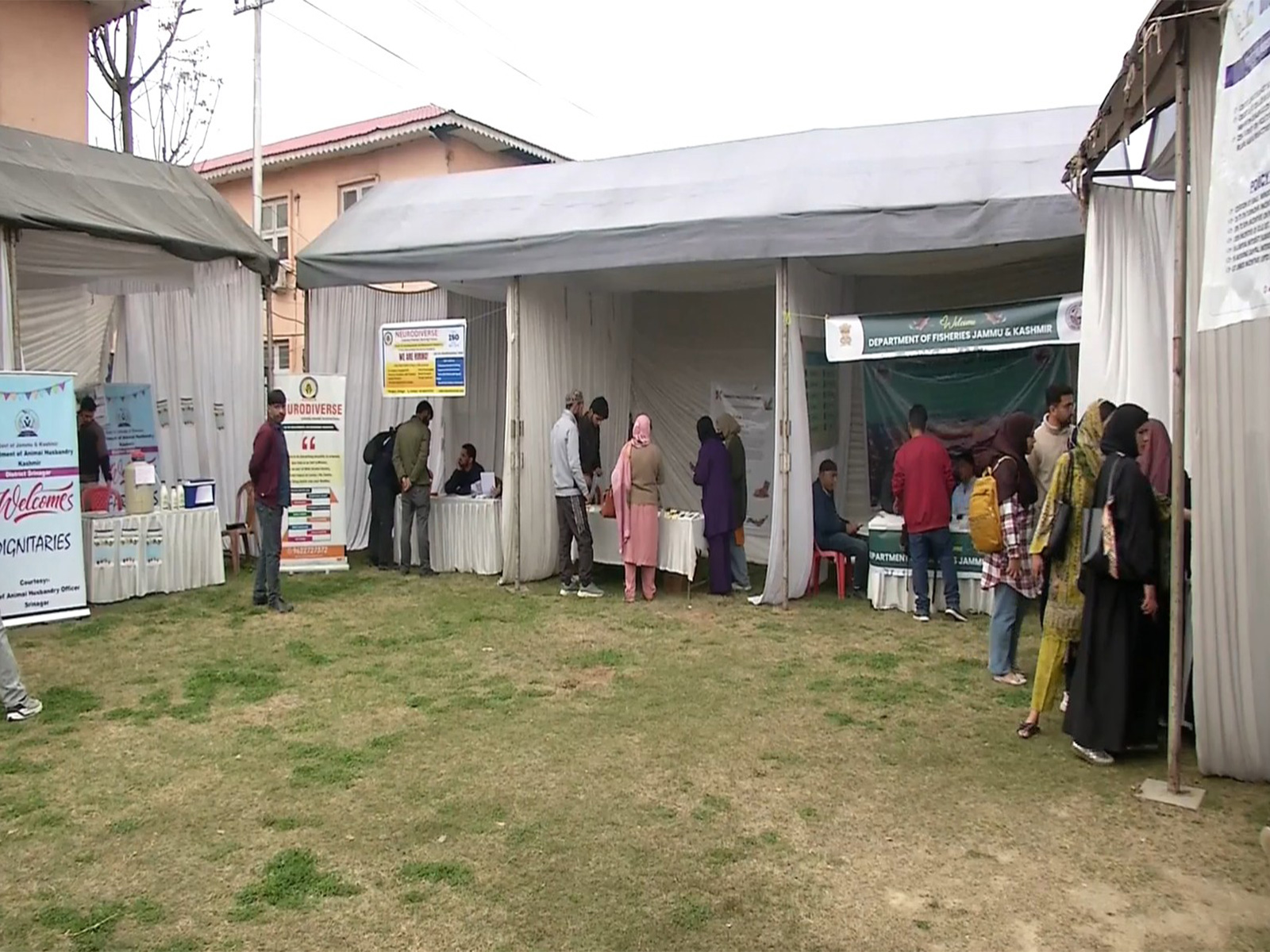Job Fair in Srinagar (Photo/ANI) Job Fair in Srinagar (Photo/ANI)