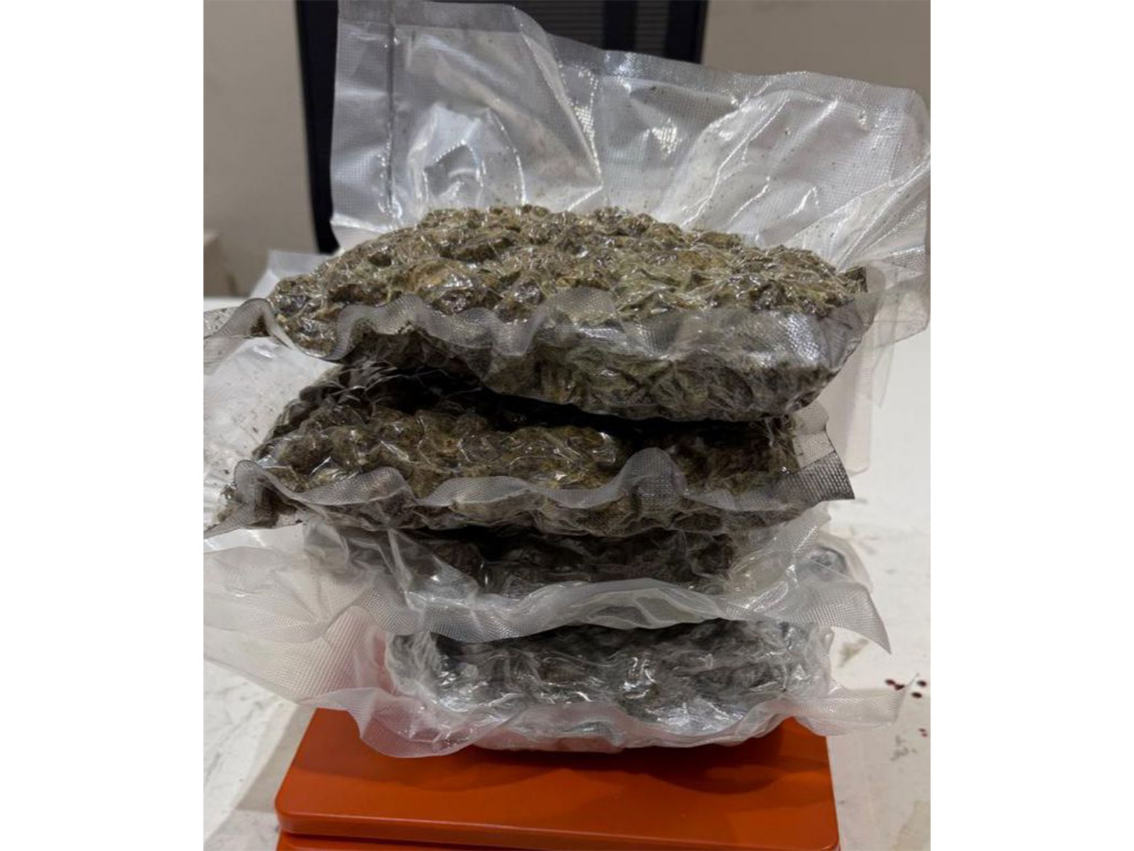 1.107kg of hydroponic weed (marijuana) intercepted by Ahmedabad Customs (Photo/ANI) 1.107kg of hydroponic weed (marijuana) intercepted by Ahmedabad Customs (Photo/ANI)