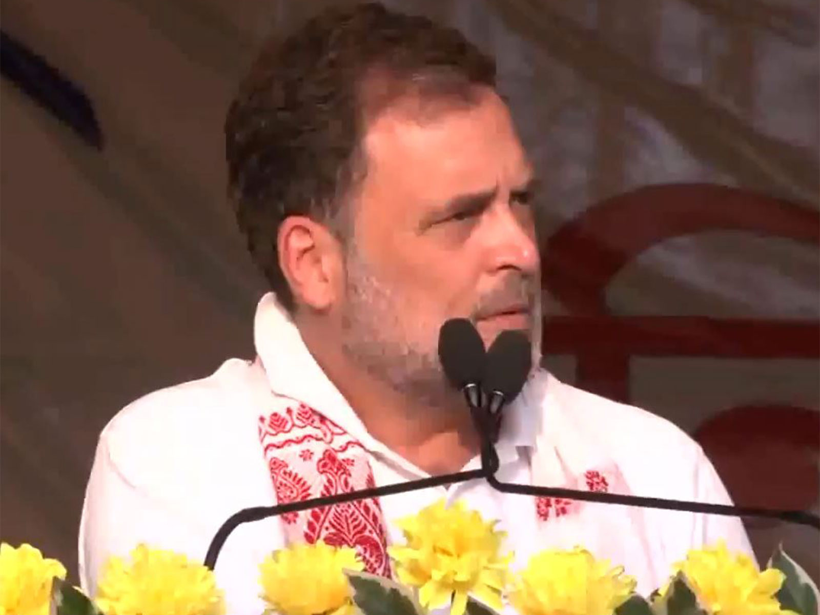 Congress leader Rahul Gandhi (Photo/ANI)