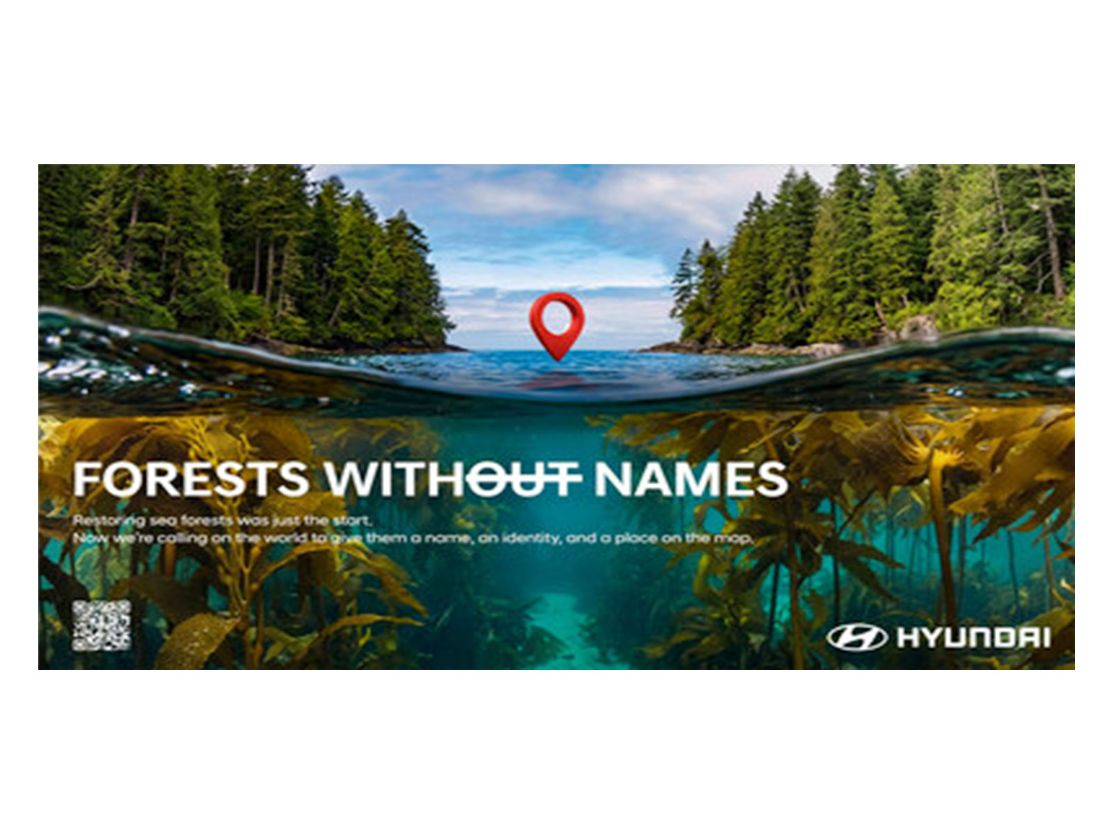 Forests Without Names: Hyundai Motor Brings the World's Hidden Sea Forests Into the Light Forests Without Names: Hyundai Motor Brings the World's Hidden Sea Forests Into the Light