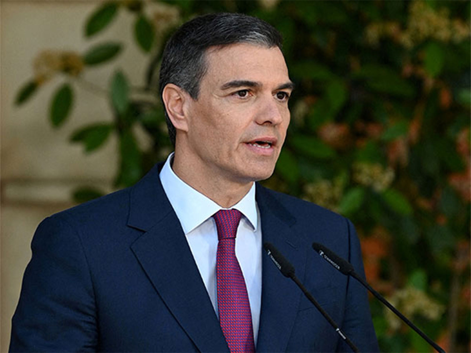 Spain's Prime Minister Pedro Sanchez (Image Credit: Reuters) Spain's Prime Minister Pedro Sanchez (Image Credit: Reuters)
