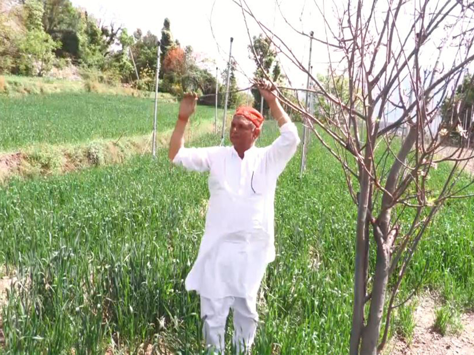 Farmer Sansar Chand (Photo/ANI)
