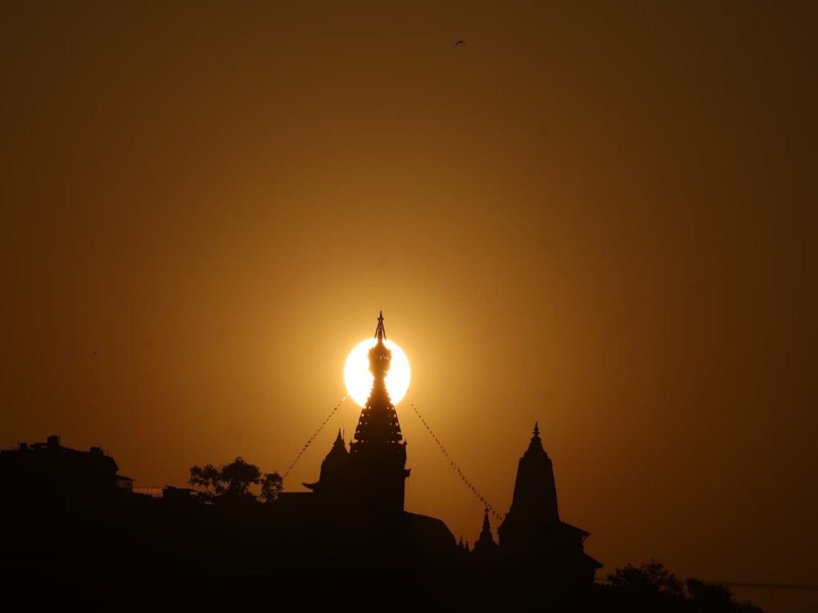 Nepal celebrates Baishakh (Photo/ANI) Nepal celebrates Baishakh (Photo/ANI)