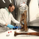 Study finds out why bread can cause weight gain without extra calories