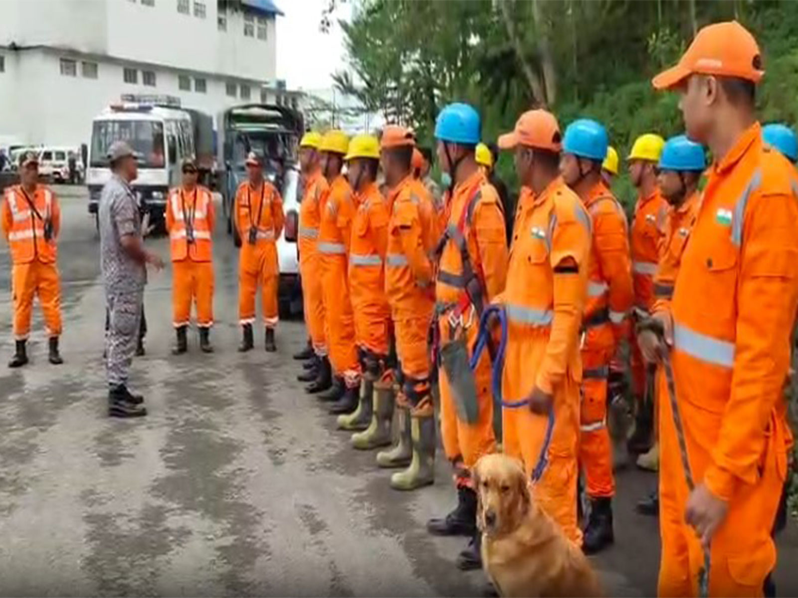 Nagaland Emergency Preparedness Exercise (NEPEX) 2026 (Photo/ANI)
