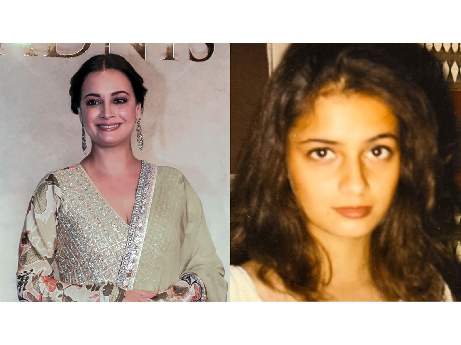 Dia Mirza (Photo/ANI/Instagram@diamirzaofficial)