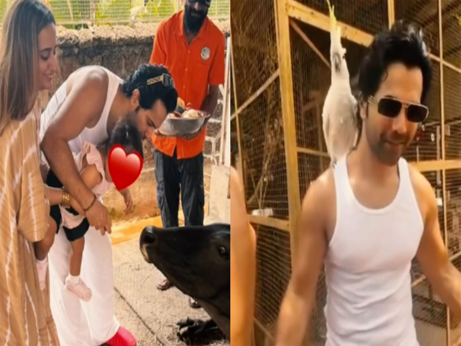 Varun Dhawan with family (Photo/Instagram@varundvn)