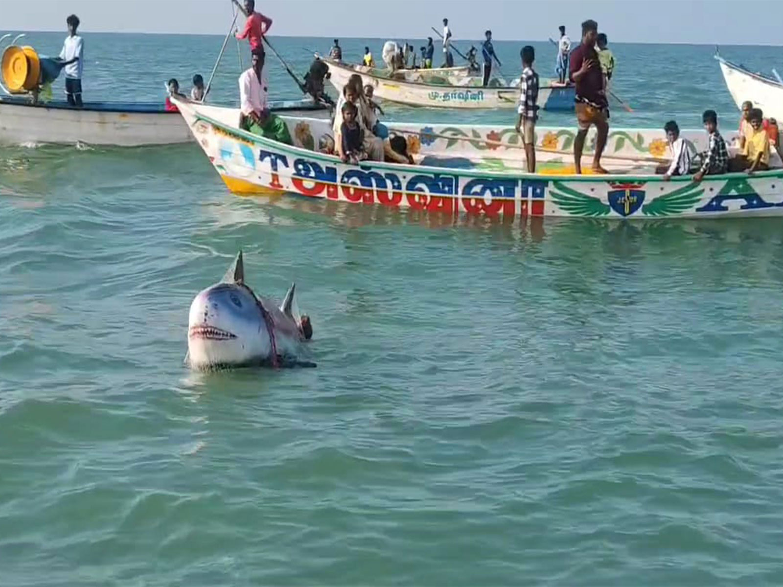 Lord Shiva’s net-casting ritual draws devotees in Ramanathapuram (Photo/ANI)