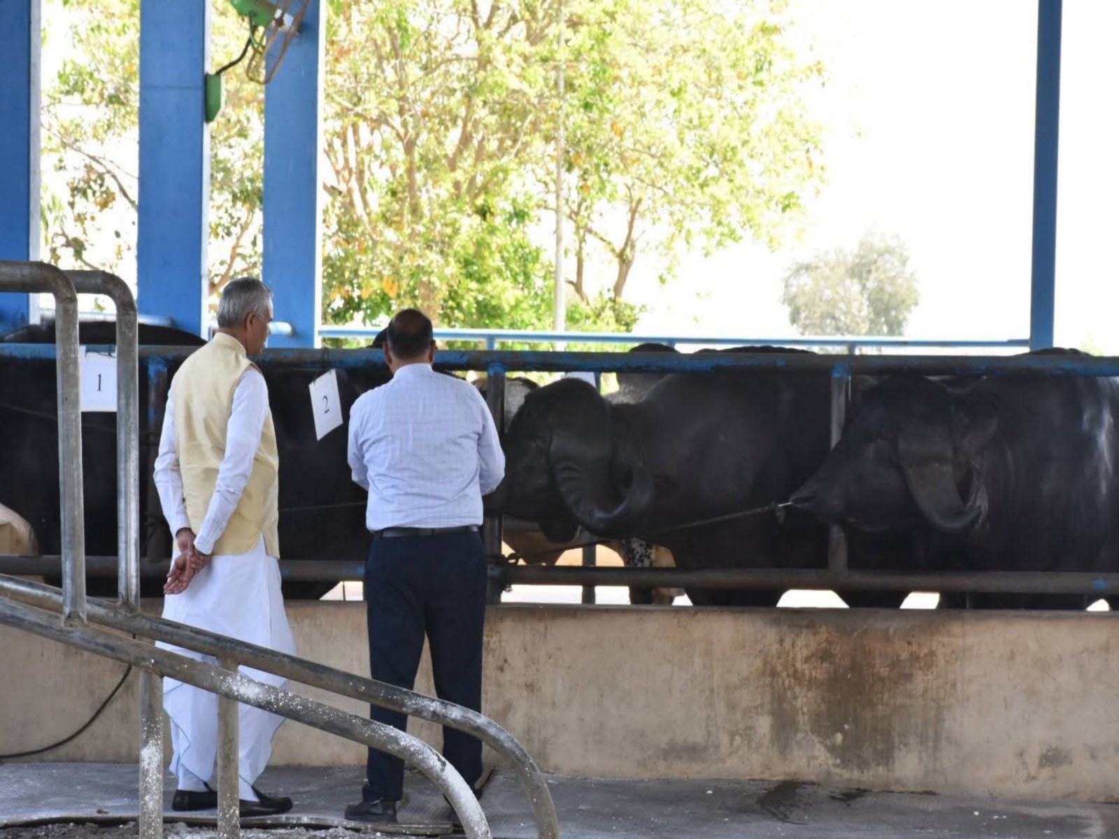 Gujarat livestock farmers tap sexed semen technology (Photo/GujaratCMO)