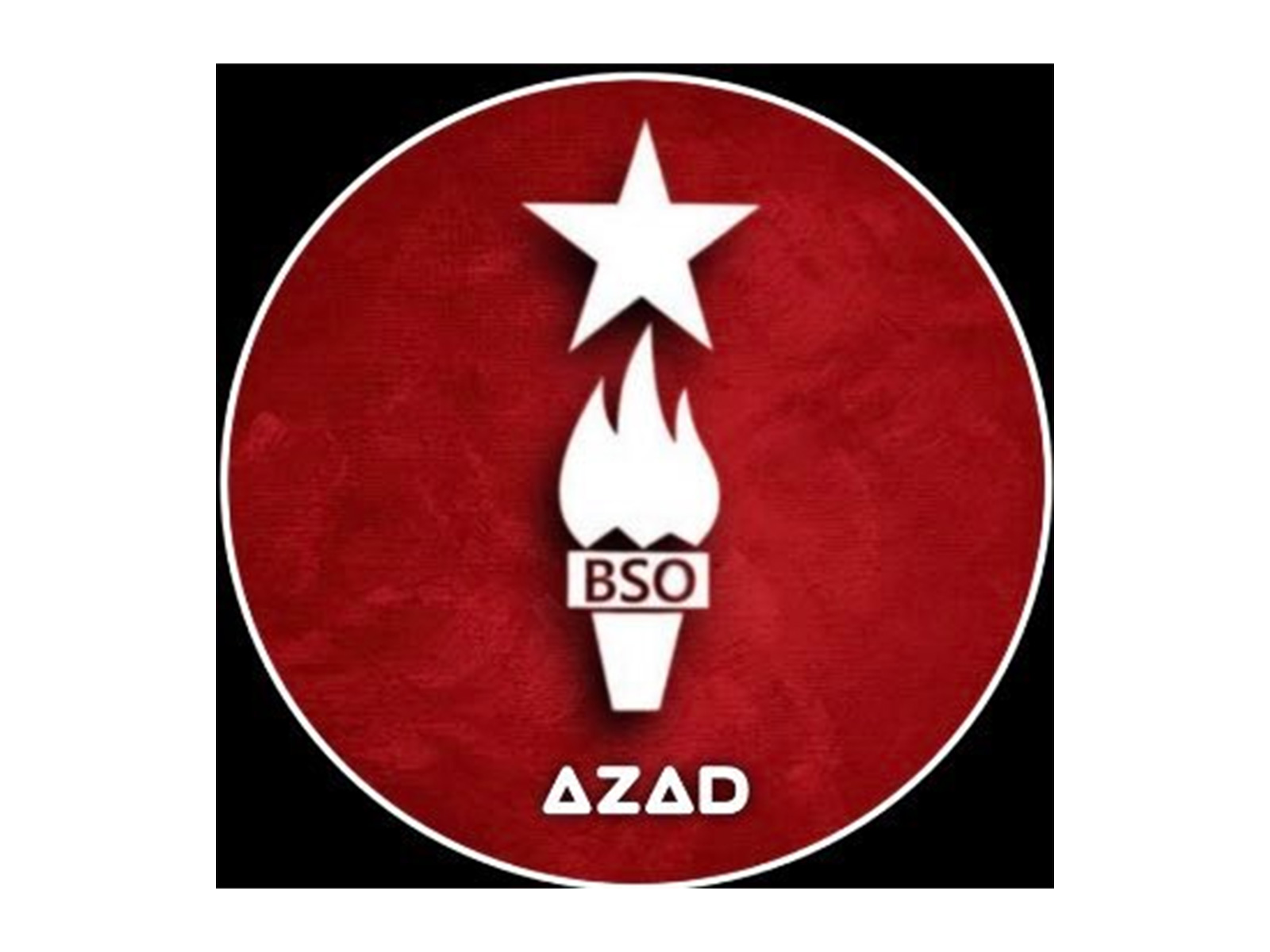 Representative Image (Photo:X/@BSO__AZAD)