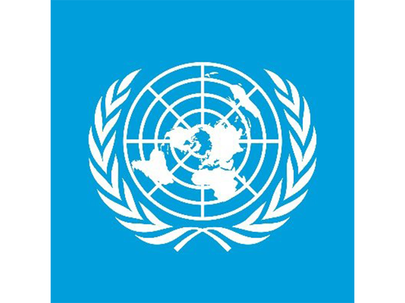 United Nations logo (Photo/@UN)
