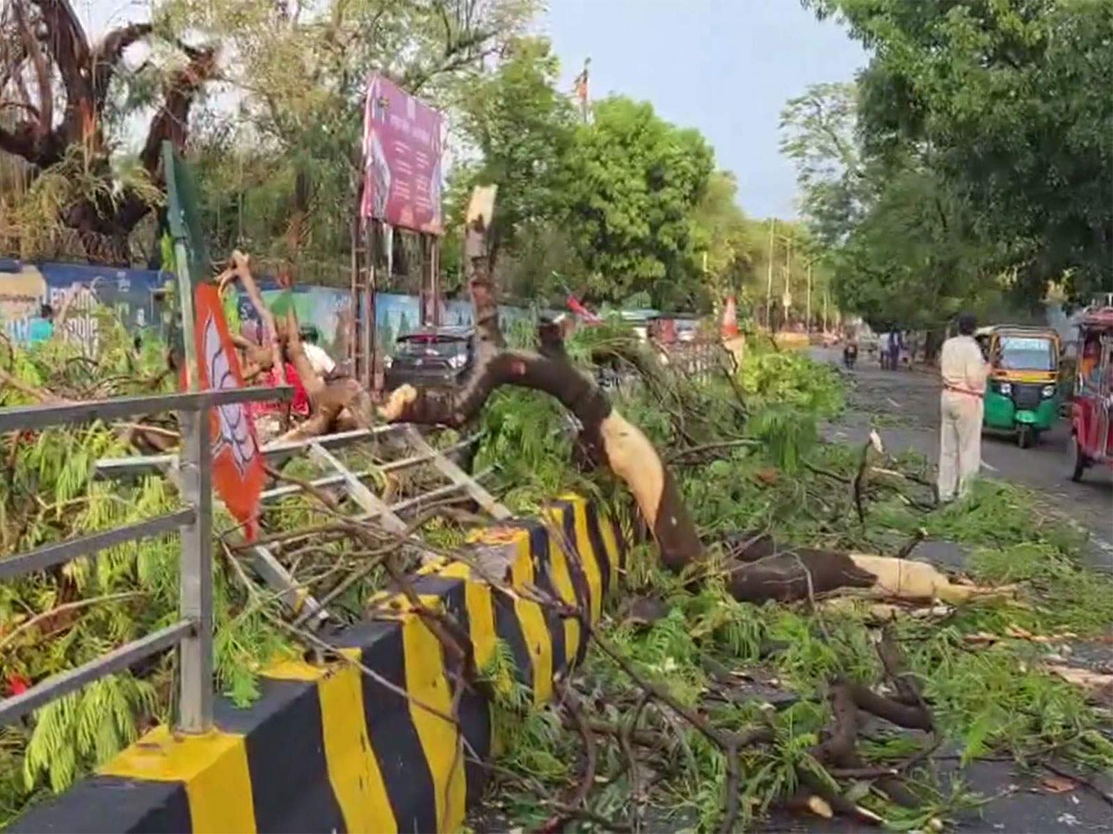 Trees uprooted as heavy rain and storm lash parts of Patna (Photo/ANI) Trees uprooted as heavy rain and storm lash parts of Patna (Photo/ANI)