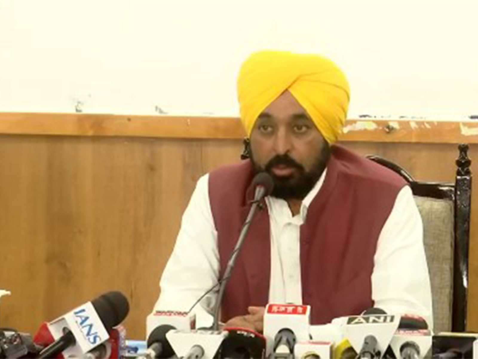 Punjab Chief Minister Bhagwant Mann (Photo/ANI)