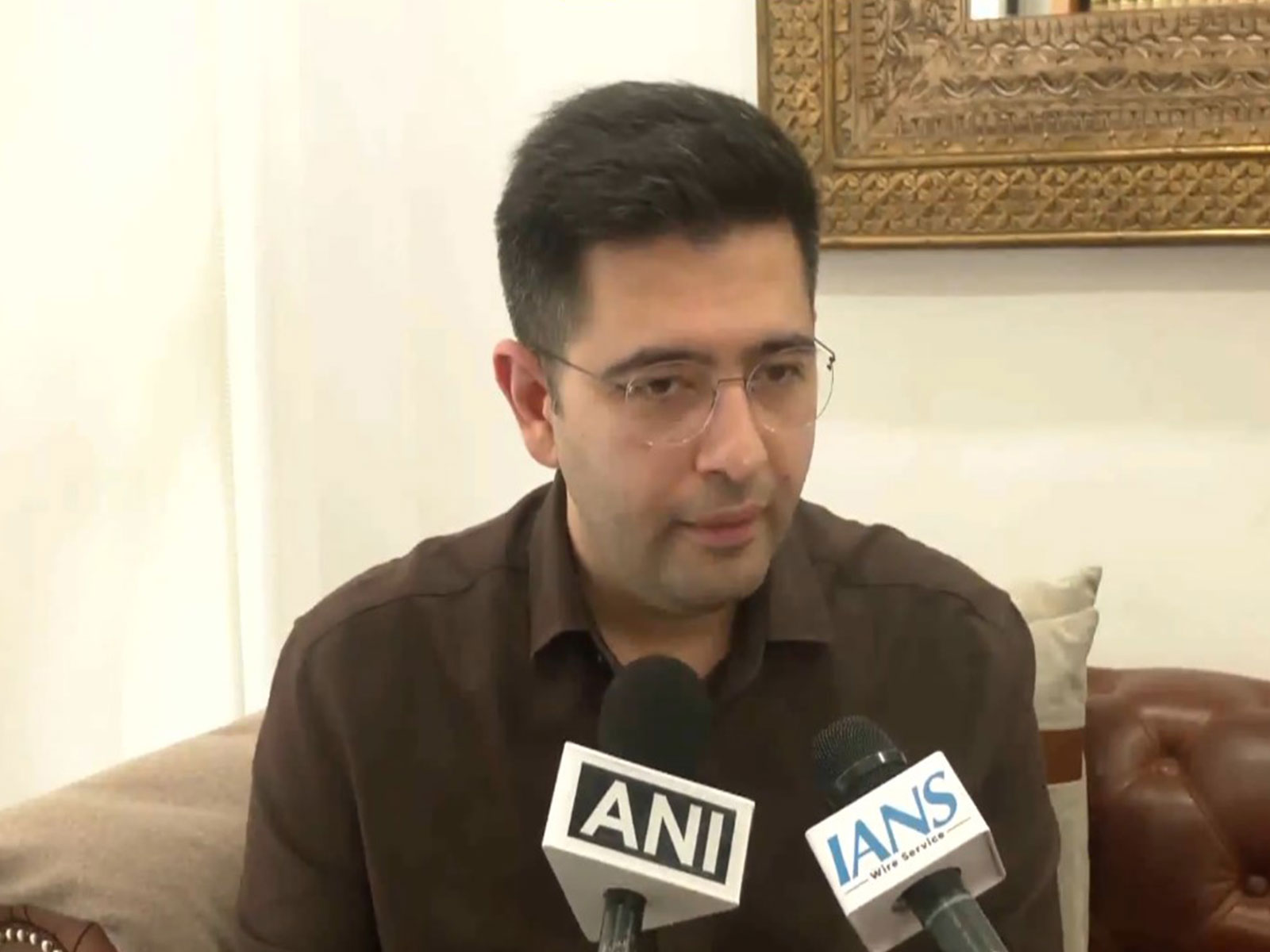 Rajya Sabha MP and BJP leader Raghav Chadha (Photo/ANI)