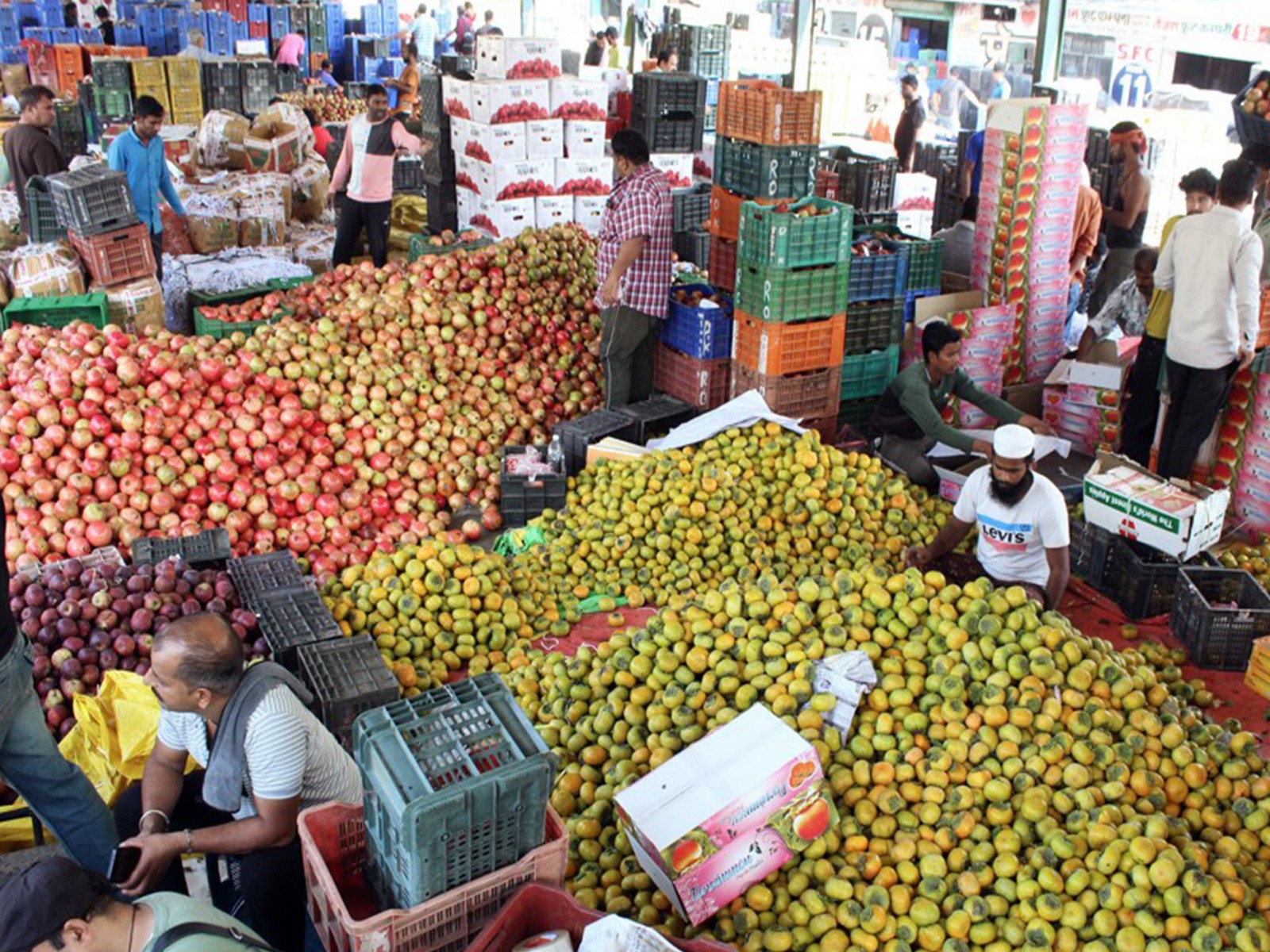 Representative Image (File Photo-ANI)