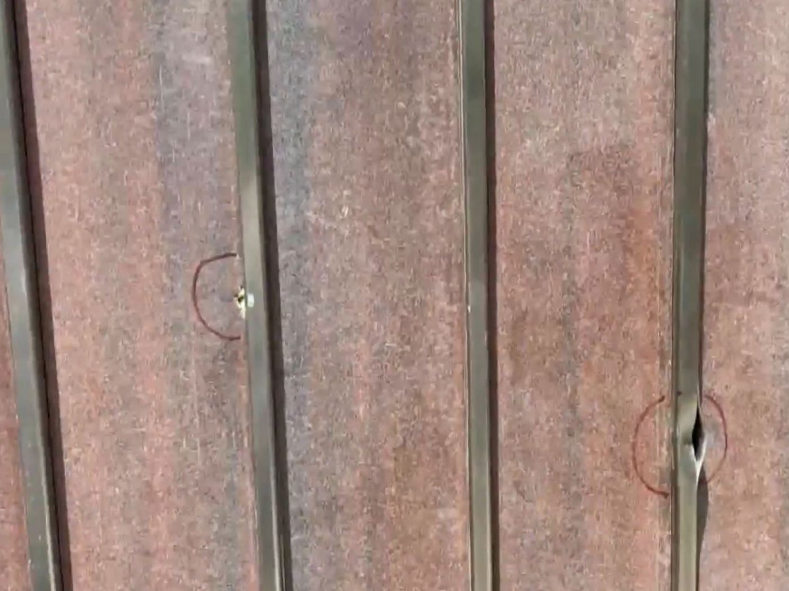 Visual from outside the house of retired Army captain (Photo/ANI) Visual from outside the house of retired Army captain (Photo/ANI)