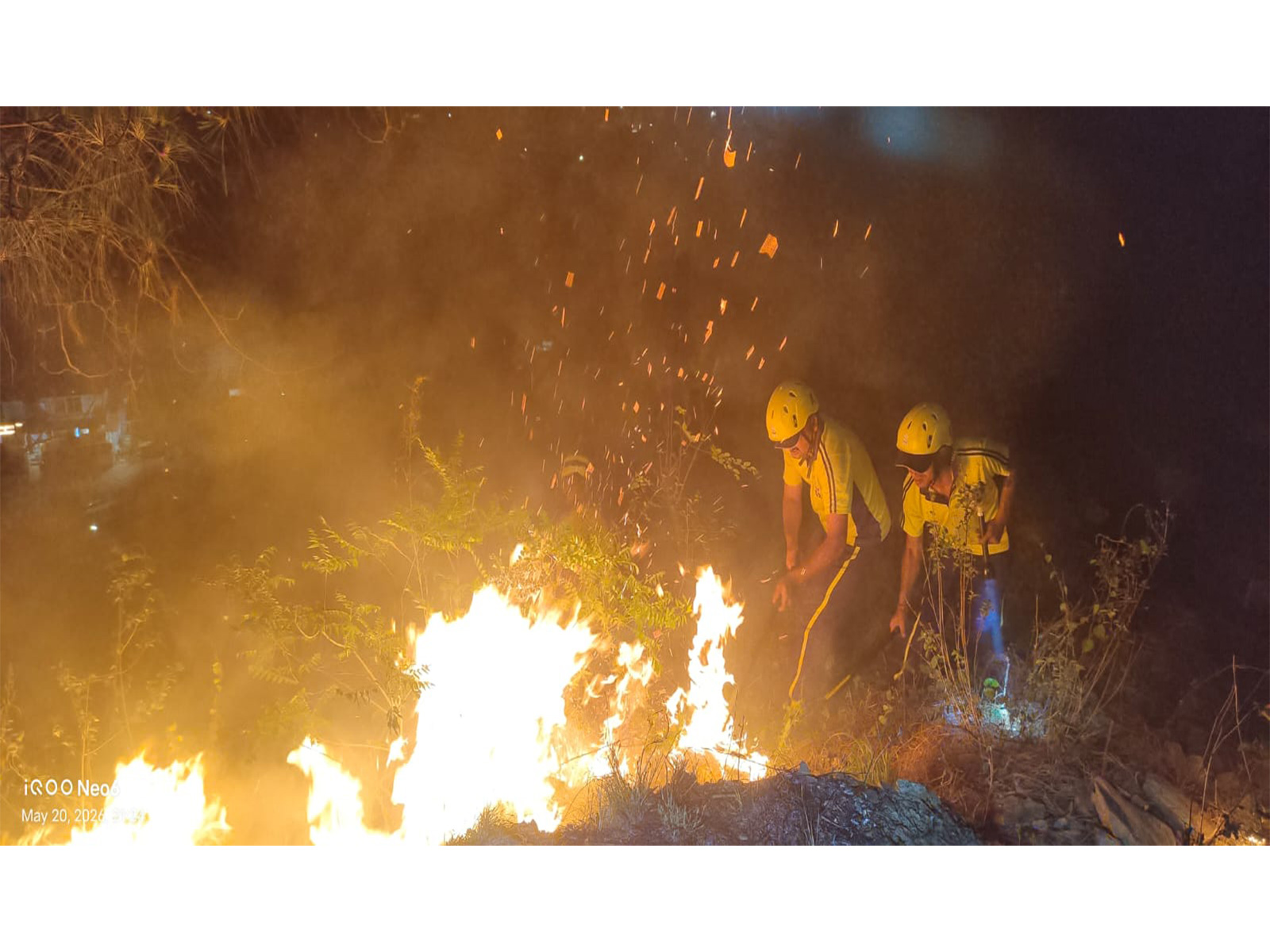 Visuals of the forest fire (Photo/SDRF)