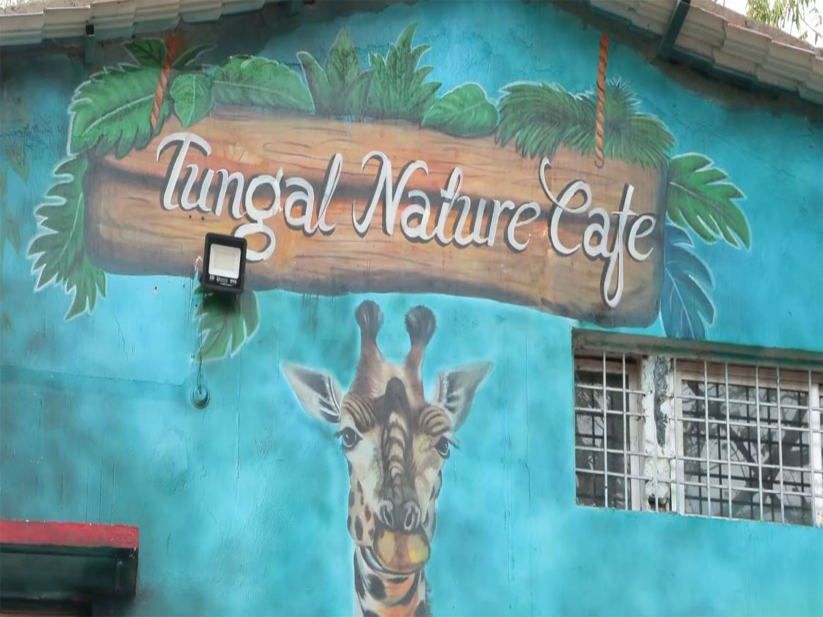 Former women Naxals find new beginning at Sukma’s Tungal Natures Cafe (Photo/ANI)