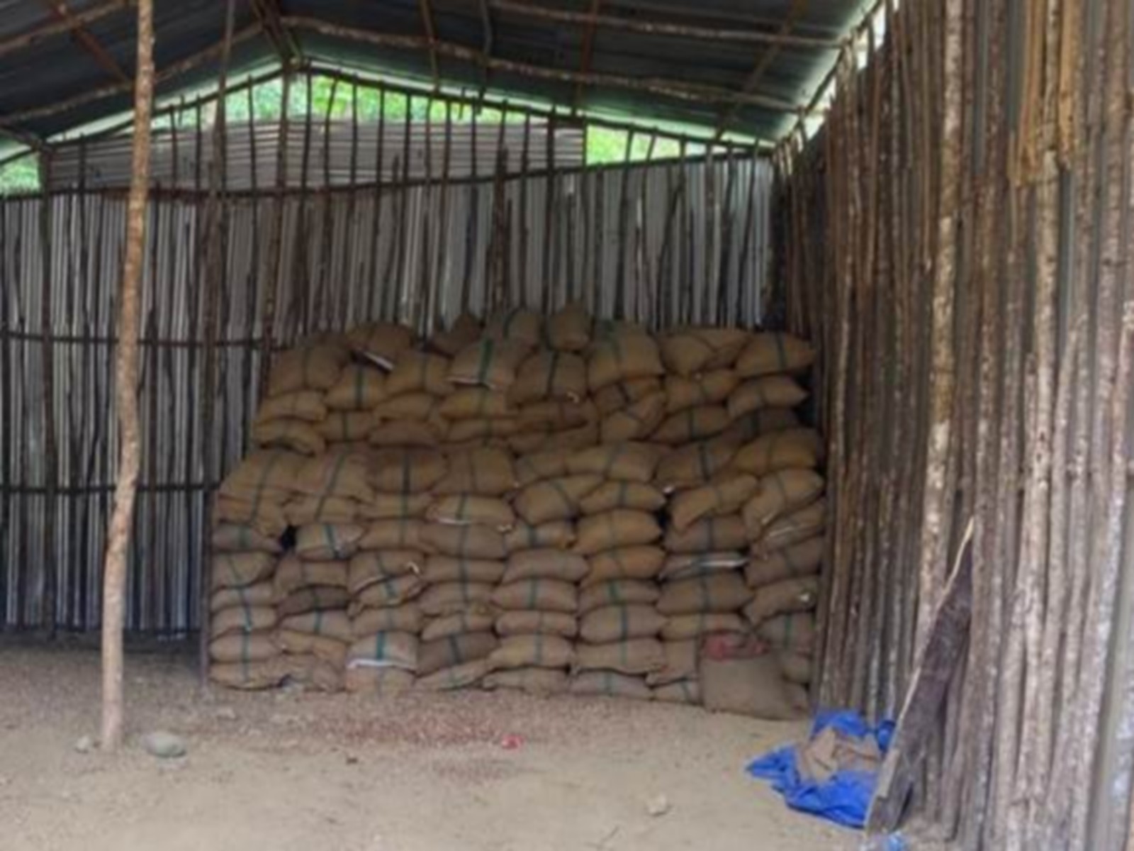 DRI seizes 60,000 kg of smuggled foreign-originated areca nuts in North-East (Photo/PIB)