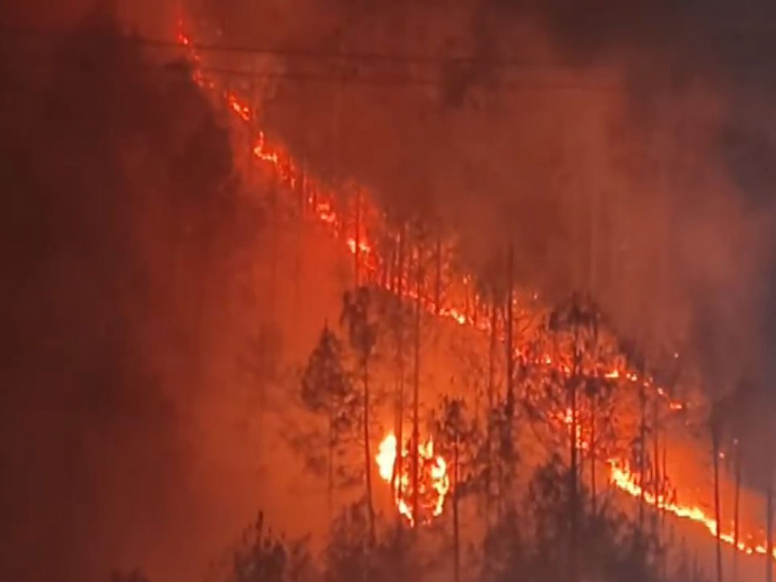 Massive forest fire breaks out in Tehri Garhwal (Photo/ANI) Massive forest fire breaks out in Tehri Garhwal (Photo/ANI)