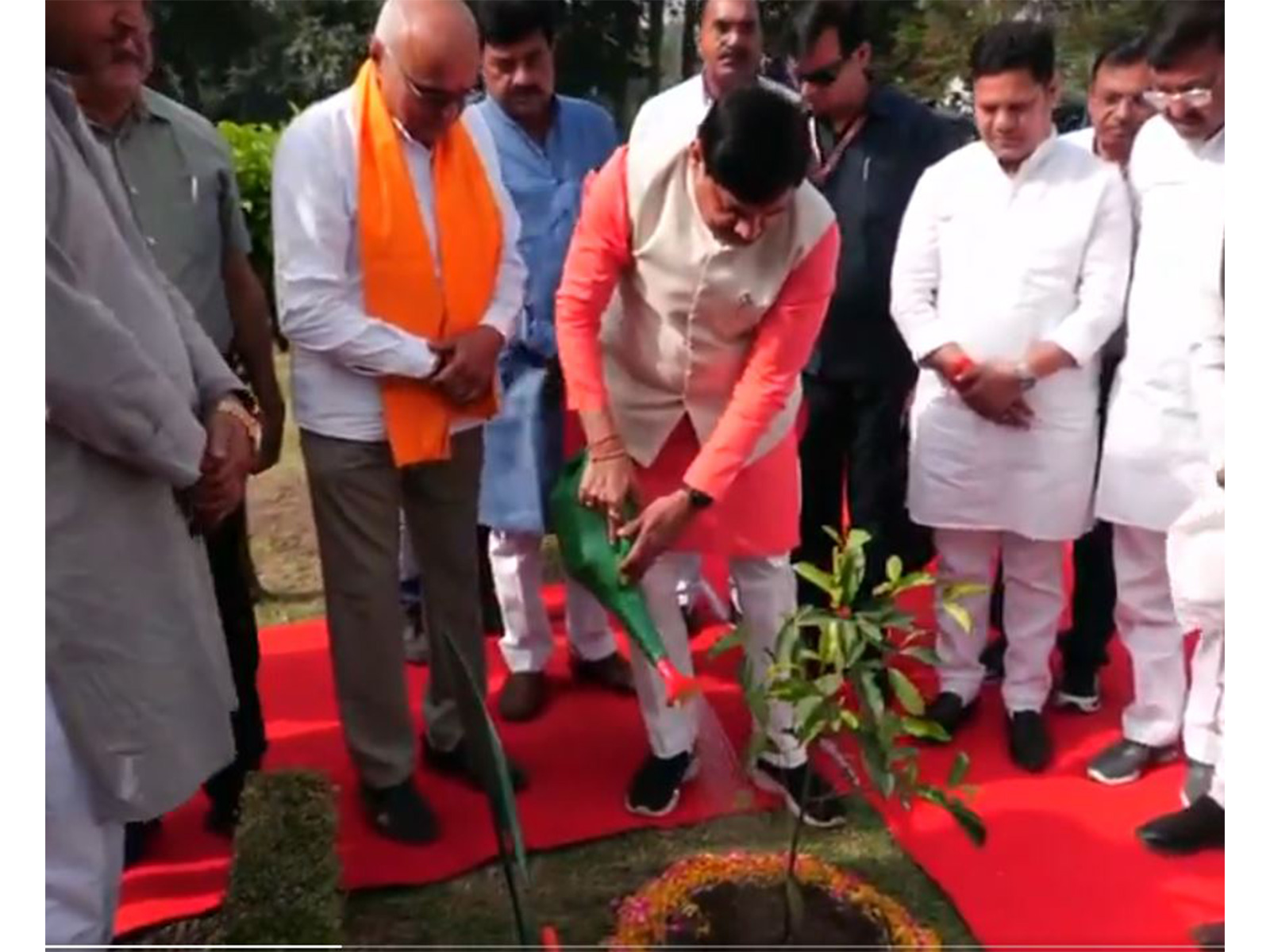 MP CM Mohan Yadav plants a sapling at NTPC campus in Singrauli (Photo/ANI)