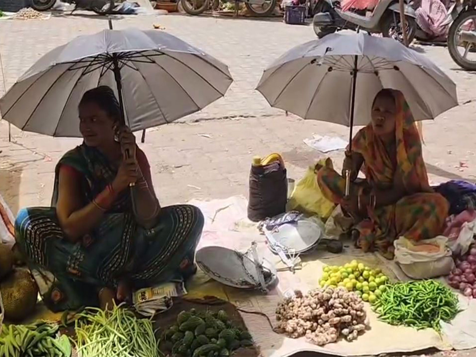 Visual from Chhatarpur, Madhya Pradesh (Photo/ANI) Visual from Chhatarpur, Madhya Pradesh (Photo/ANI)