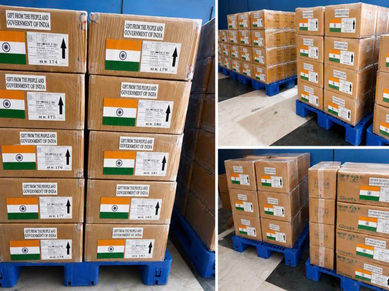 Indian aid to Africa in wake of Ebola health emergency (Photo/X@DrSJaishankar) Indian aid to Africa in wake of Ebola health emergency (Photo/X@DrSJaishankar)