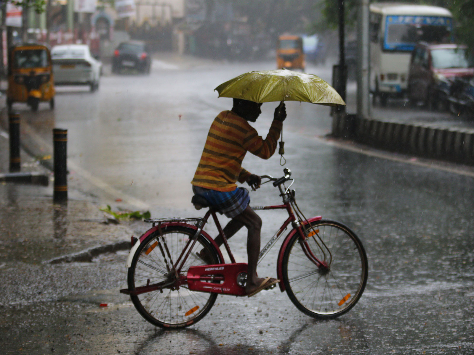 Representative Image (File Photo/ANI) Representative Image (File Photo/ANI)