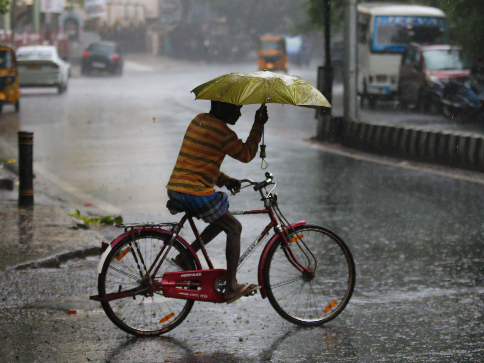 Representative Image (File Photo/ANI) Representative Image (File Photo/ANI)