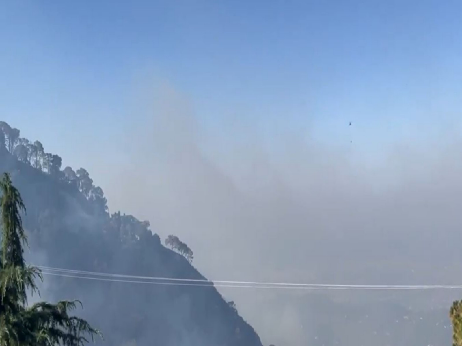 Kasauli forest blaze brought under control (Photo/ANI) Kasauli forest blaze brought under control (Photo/ANI)