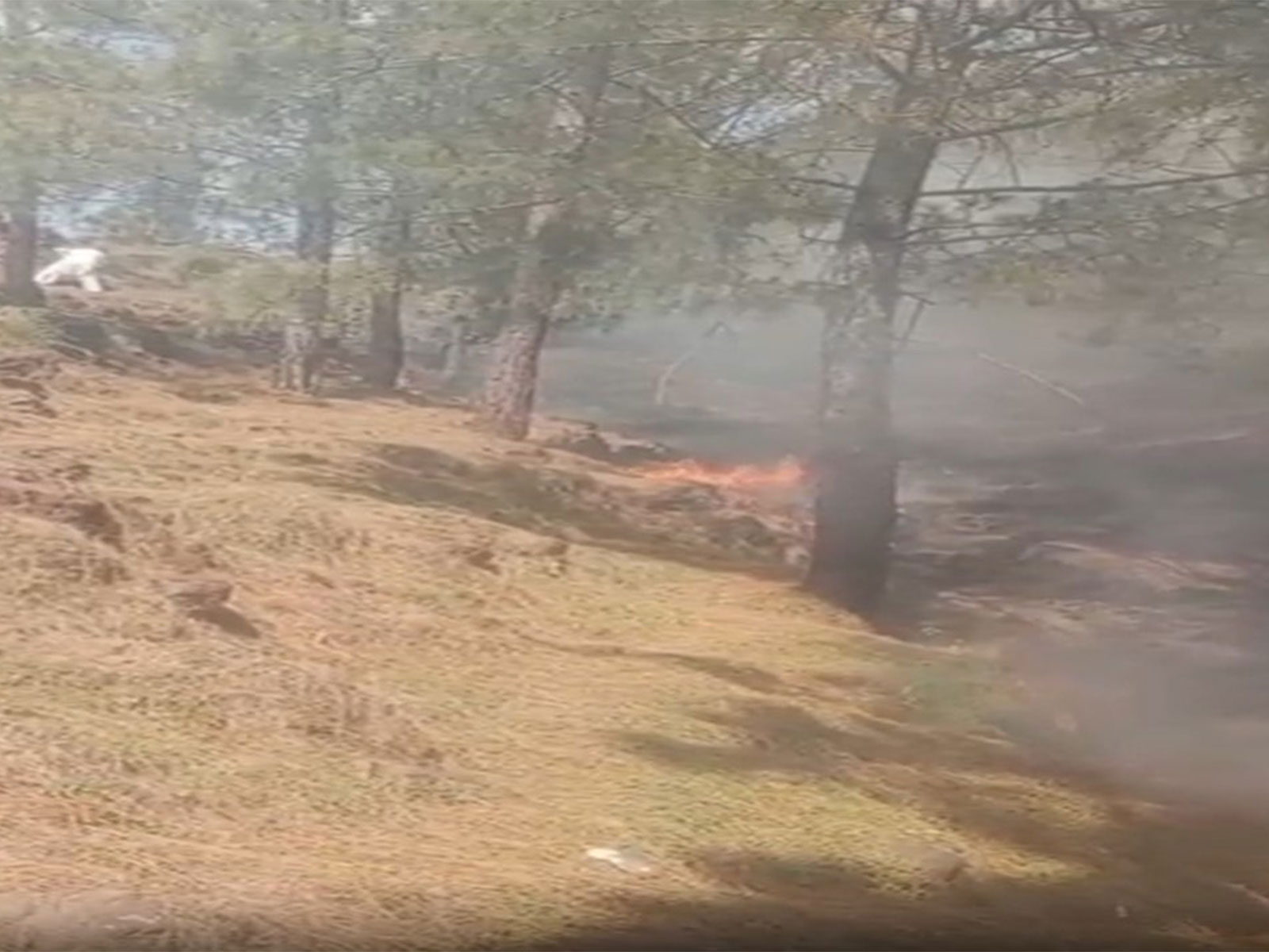 Visuals of the spot (Photo/ANI) Visuals of the spot (Photo/ANI)