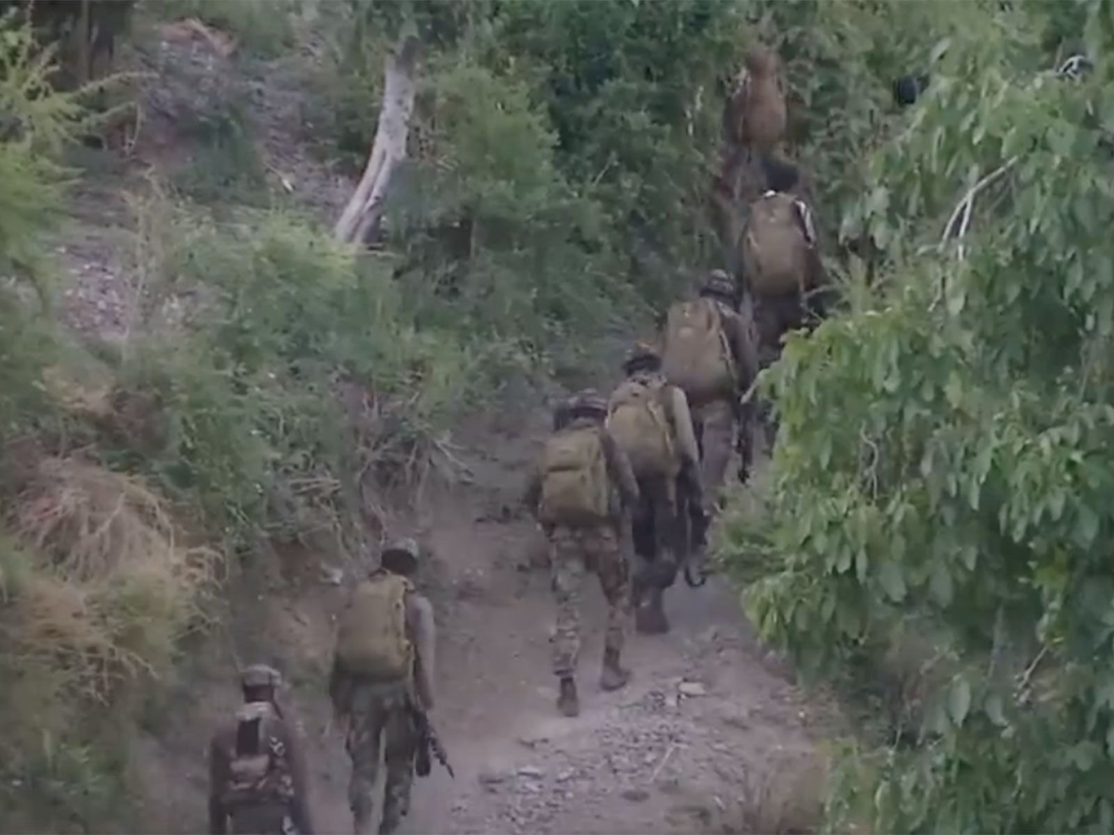 Cordon and search operation in dense forest areas of Gambhir Mughlan. (Photo/ANI)