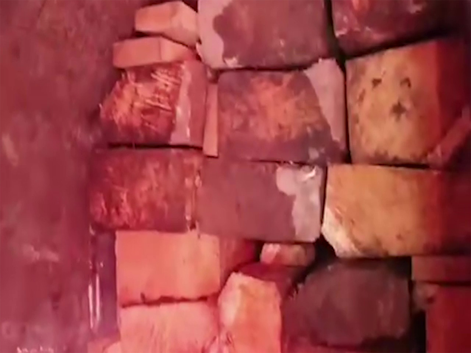 Local reporter exposing timber smuggling ( Screengrabs from TNN Video) Local reporter exposing timber smuggling ( Screengrabs from TNN Video)